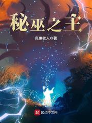 秘巫之主的大致情节简介