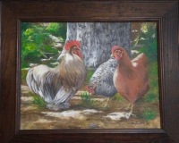 Chickens